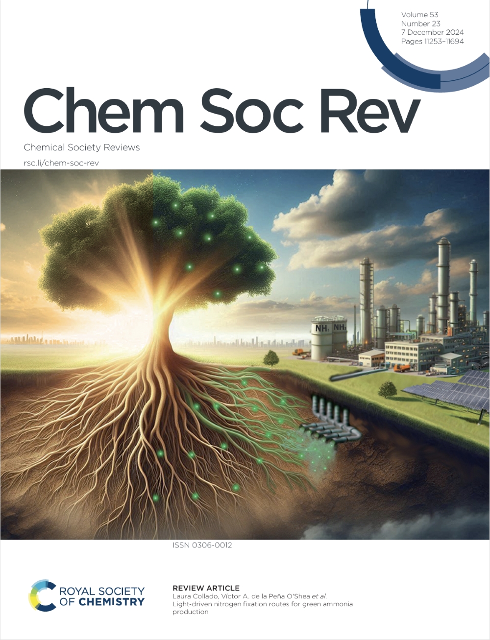 <i>Chemical Society Reviews</i>