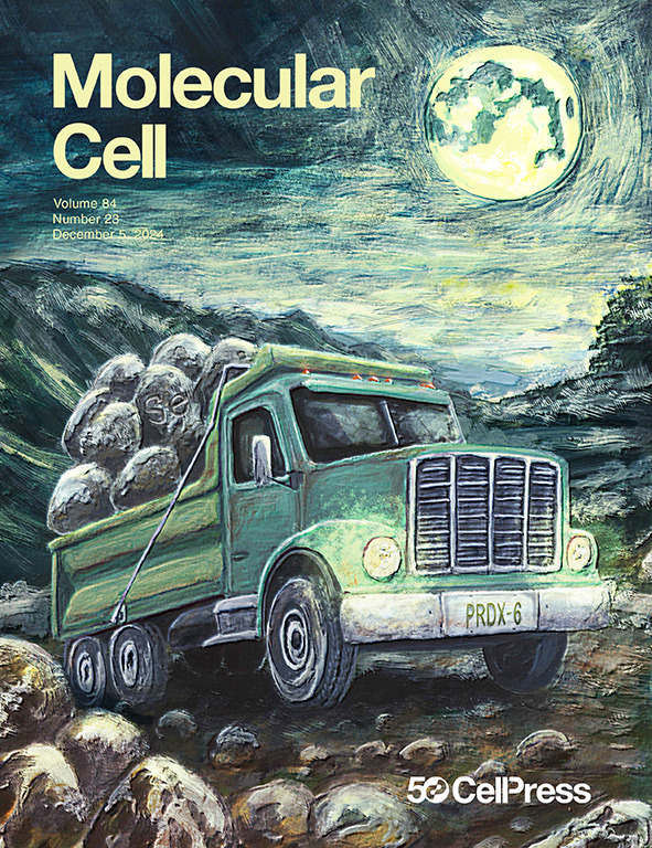 <i>Molecular Cell</i>